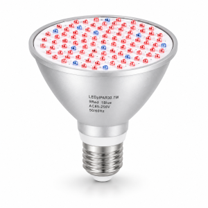 LED SPOT